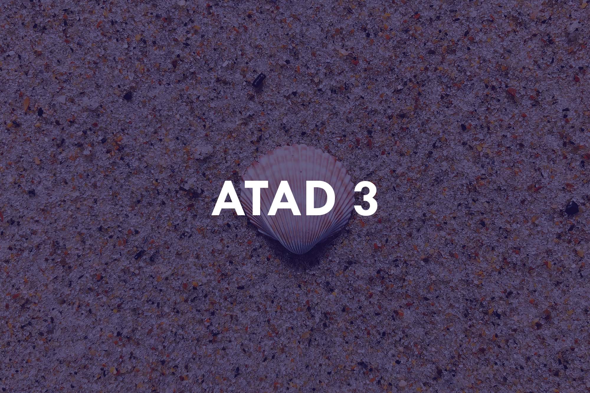 ATAD 3: the end for shell companies? - Archipel Tax Advice
